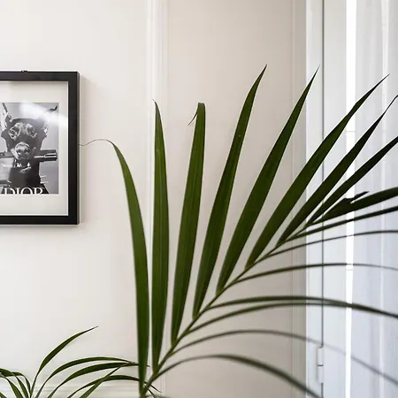 Apartman Maison 31 - Unique Experience *