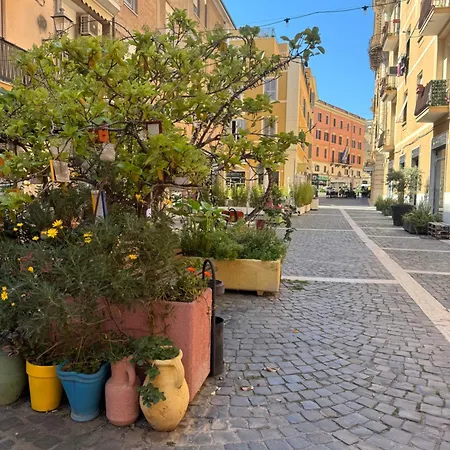 Appartamento Maison 31 - *