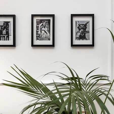 Appartamento Maison 31 - Civitavecchia